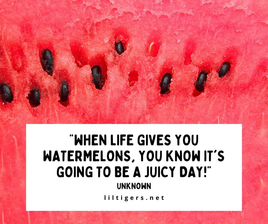 Cute Watermelon Quotes for Kids