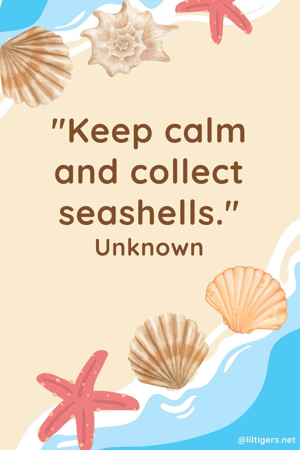 Top Seashell Quotes for Kids