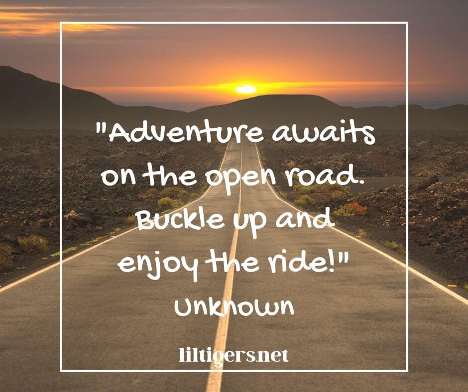 Fun Road Trips Quotes for Kids