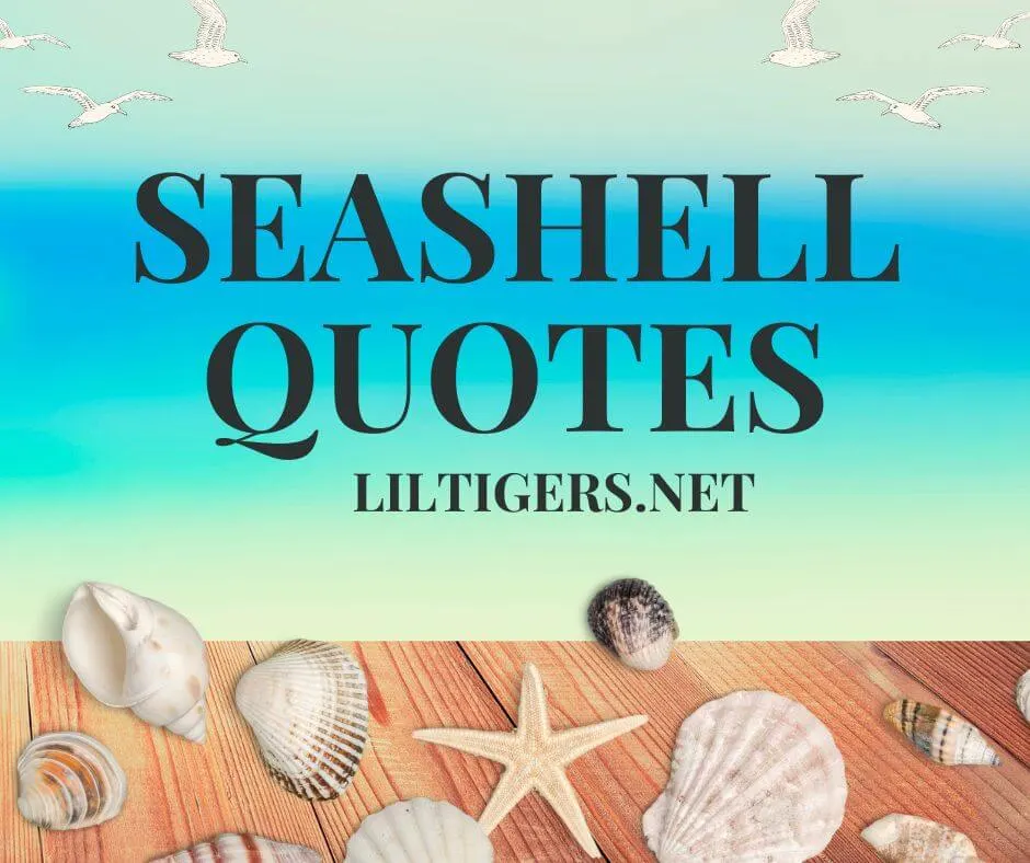 seashell quotes for kids