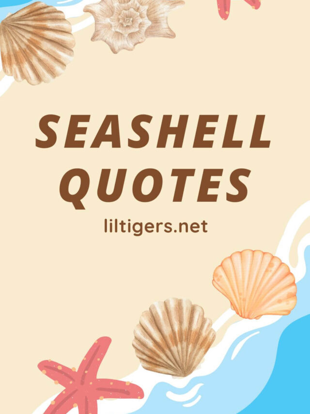 Seashell Quotes