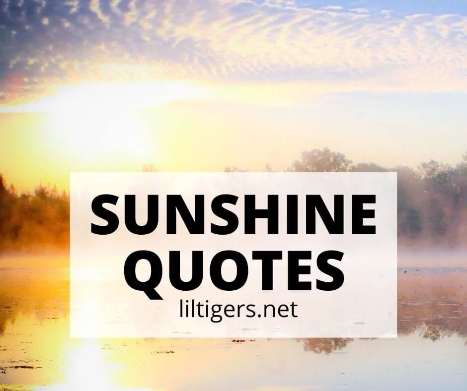 best sunshine quotes for kids