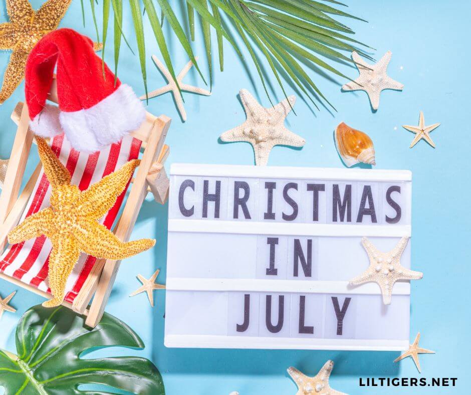 happy Christmas in July Quotes for kids