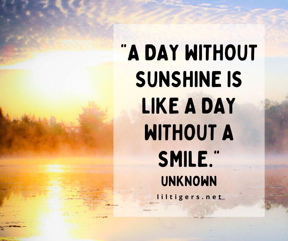Nice Quotes About Sunshine