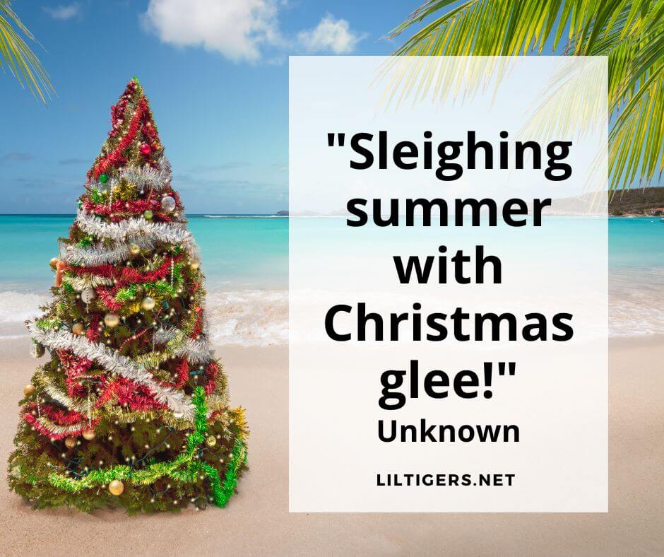 happy Christmas in July Slogans