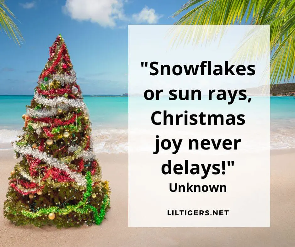 Kids Quotes About Christmas in July