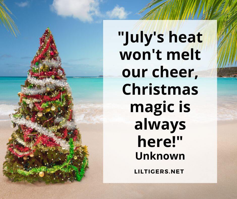 Kids Quotes on Christmas in July