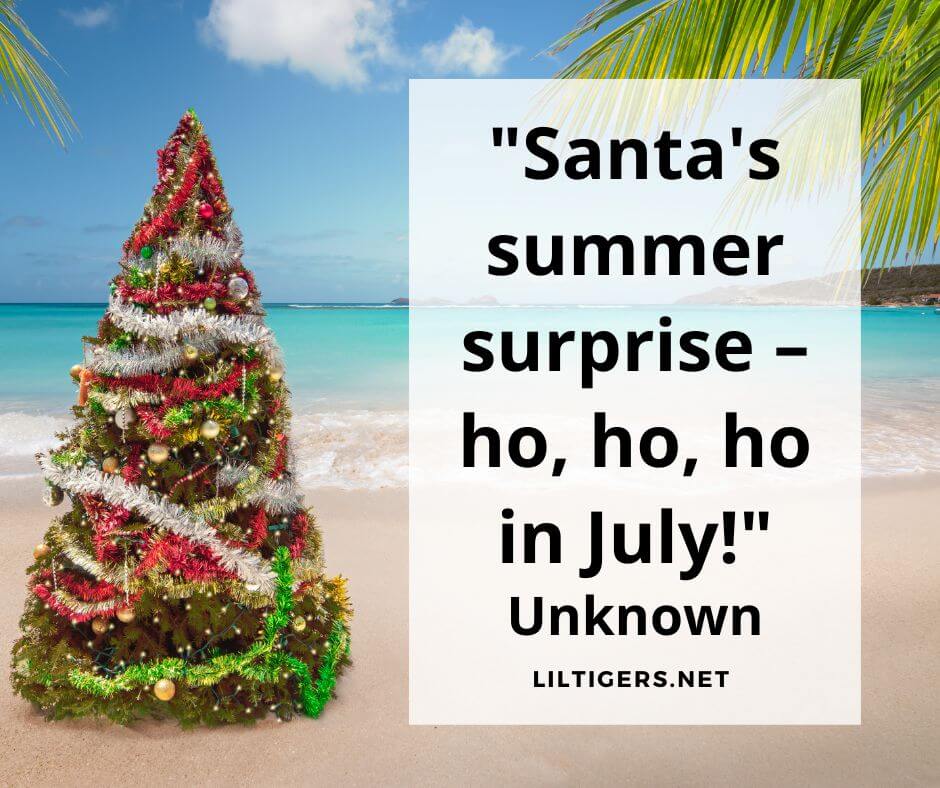 Christmas in July Captions