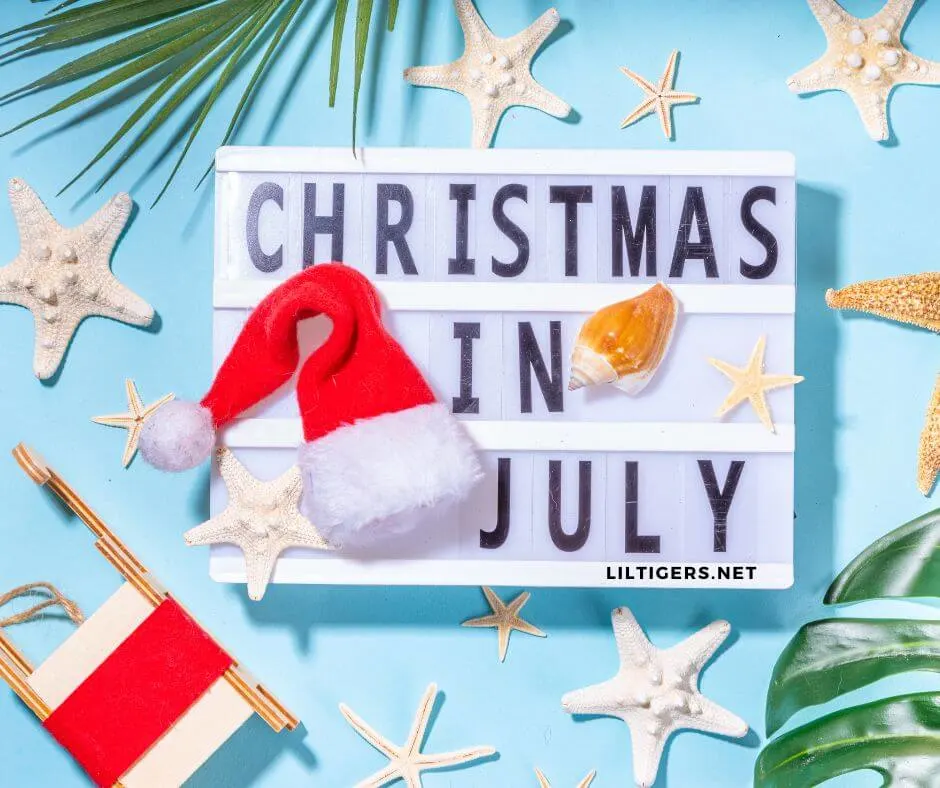 happy Christmas in July quotes