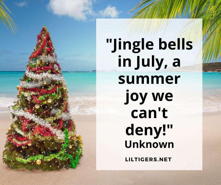 Christmas in July Captions for kids
