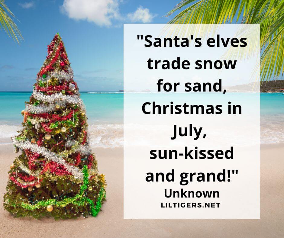 Christmas in July Puns for kids