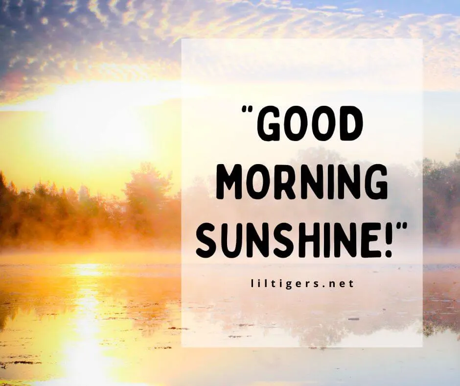 Good Morning Sunshine sayings for Kids