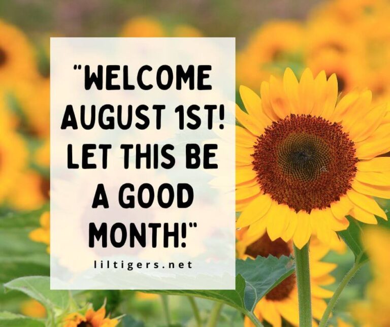 210 Hello August Quotes Sayings Wishes 2023 Lil Tigers 210 Hello August Quotes Sayings Wishes 2023 Lil Tigers
