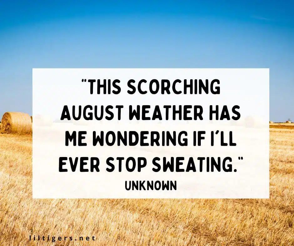 Funny August Quotes for Kids