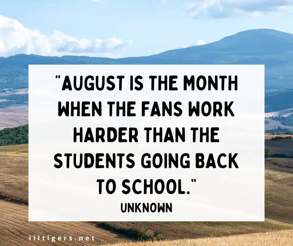 fun august quotes