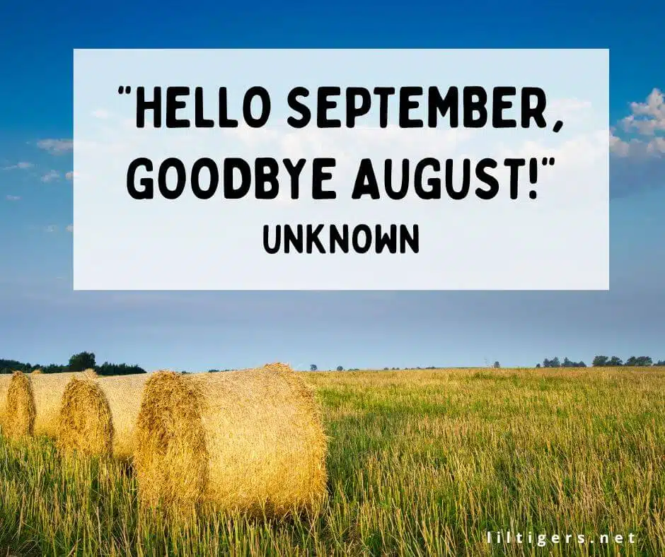 End of August Quotes