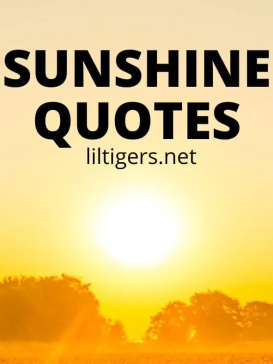 sunshine quotes for kids