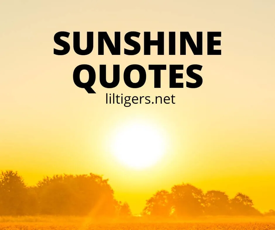 sunshine quotes for kids