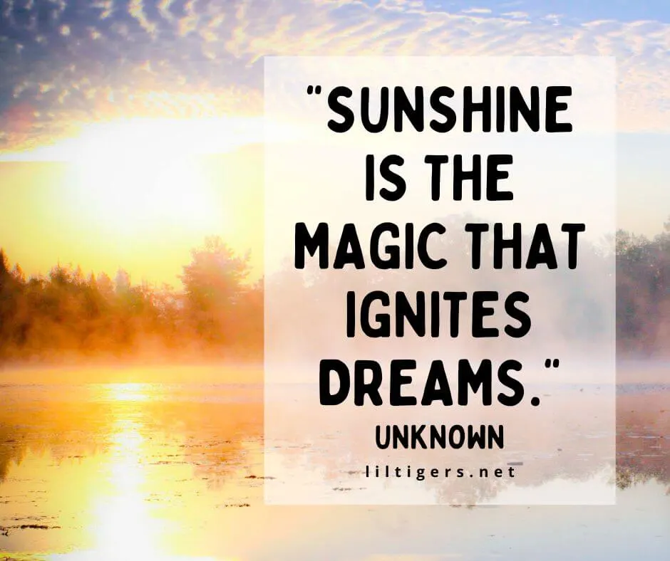 Quotes About Sunshine