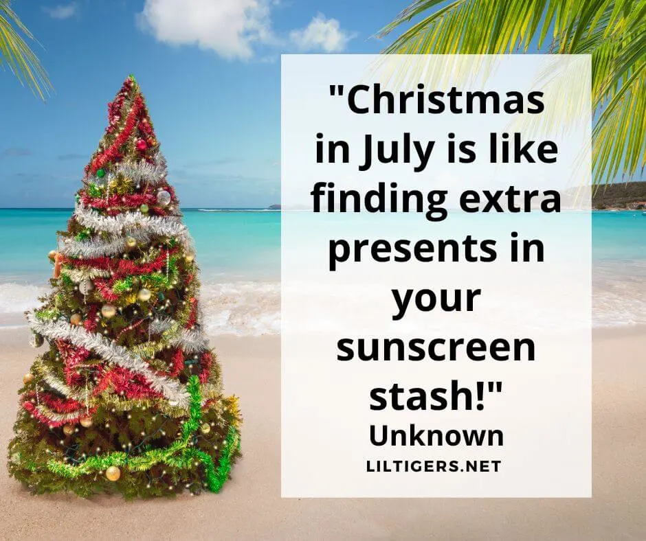 Funny Christmas in July Quotes