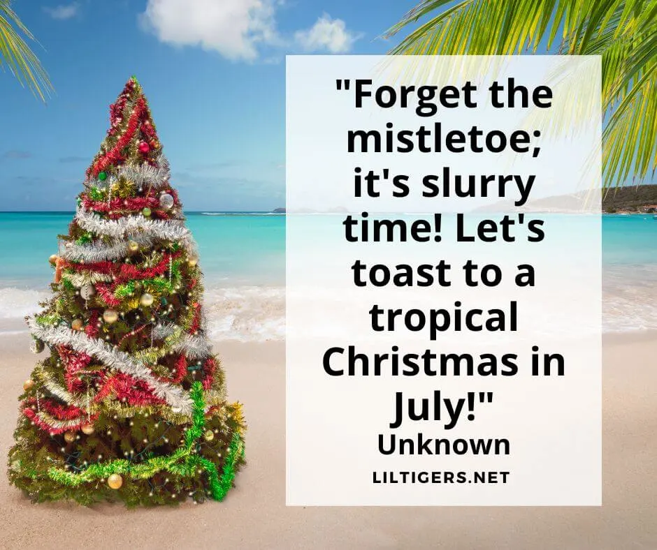 Fun Christmas in July Quotes for kids
