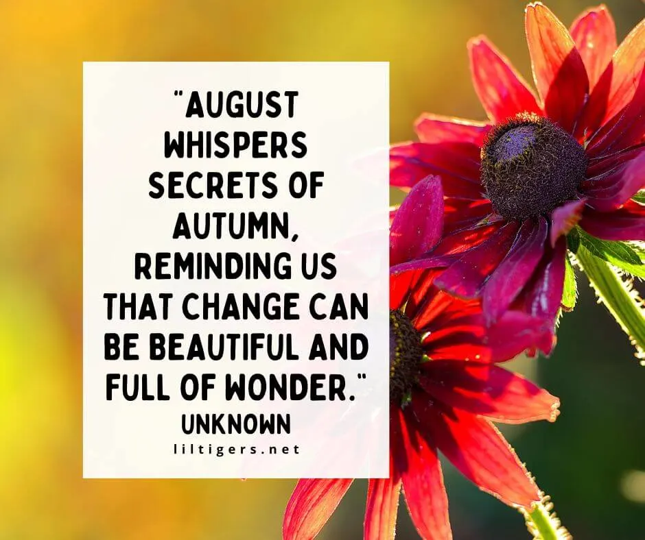 Hello August sayings 2023