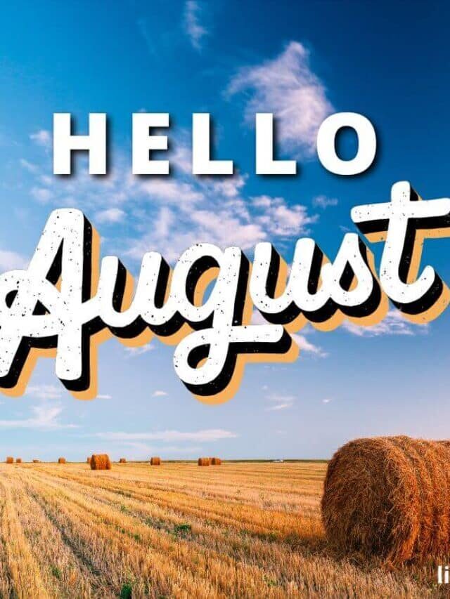 Hello August Quotes