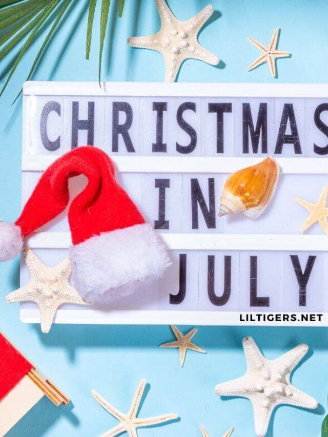 Happy Christmas in July Quotes
