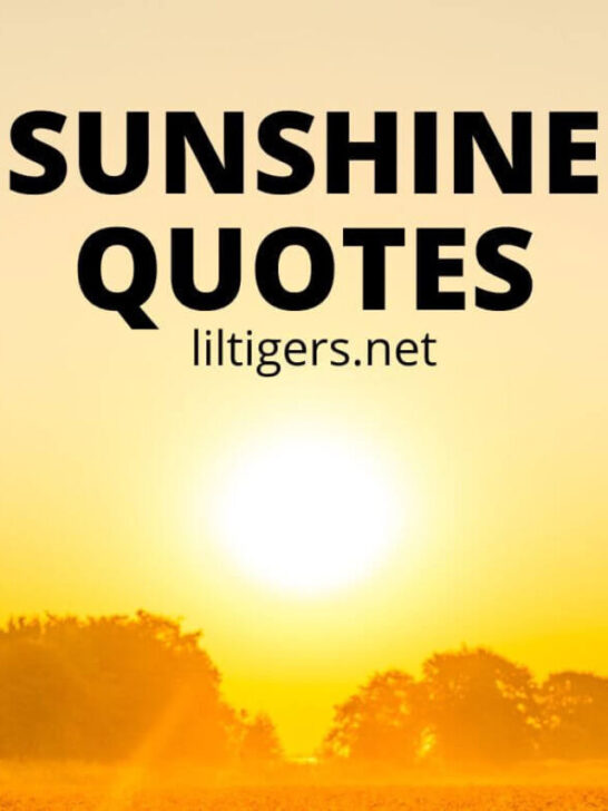 sunshine quotes for kids