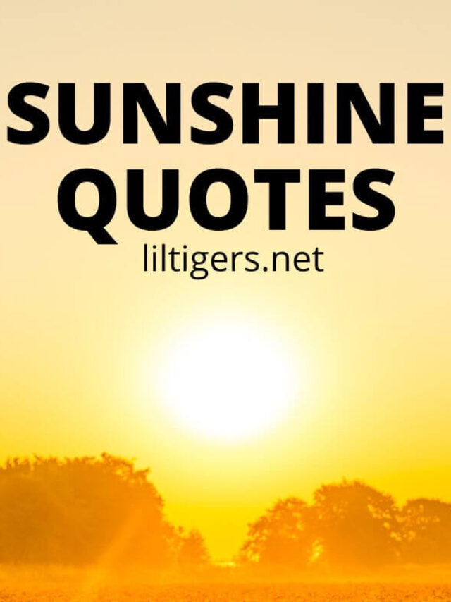 sunshine quotes for kids