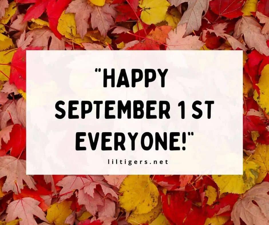 1st September Quotes for kids