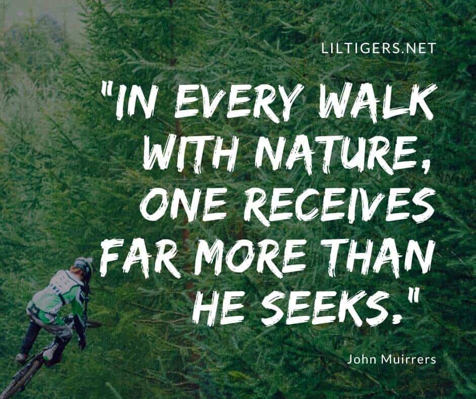 Nature Adventure Quotes for Kids