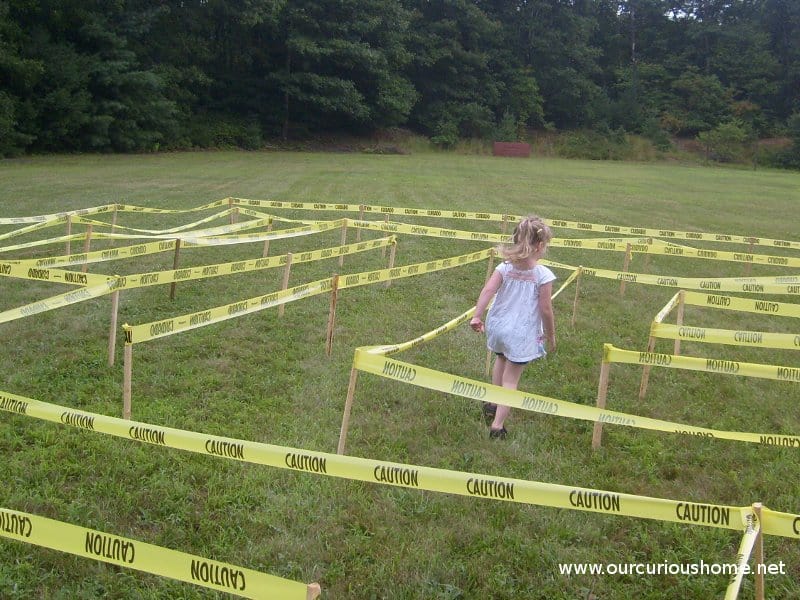 20 Best Backyard Pumpkin Patch Ideas and Activities - Lil Tigers