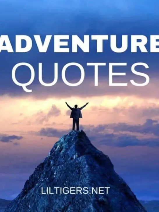 adventure quotes for kids