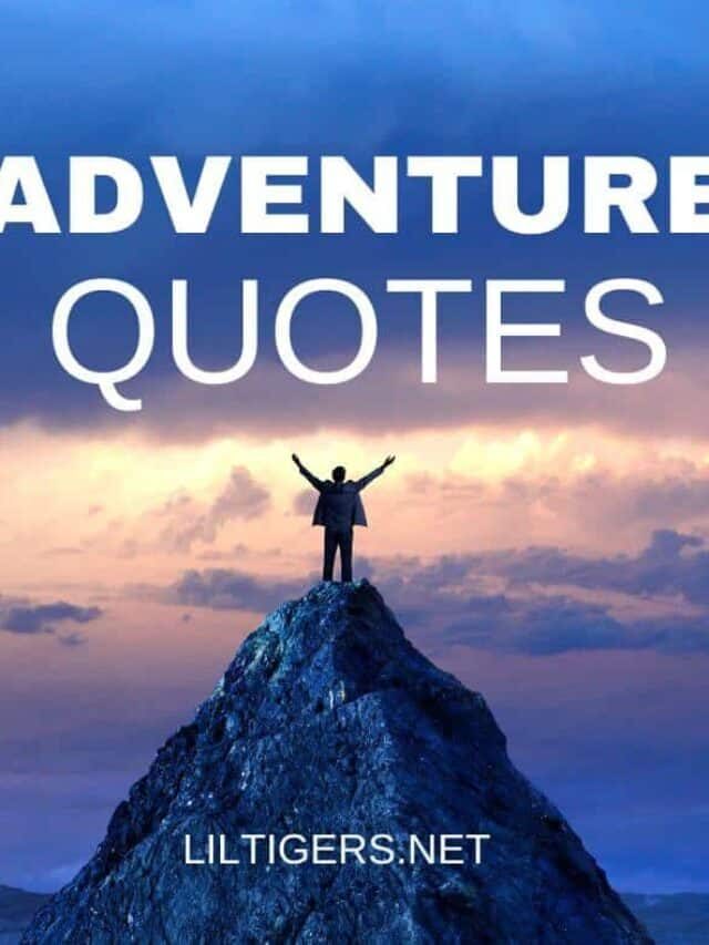 Adventure Quotes for Kids