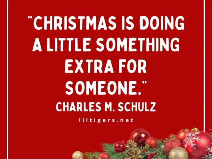 Christmas Holiday Quotes for Kids