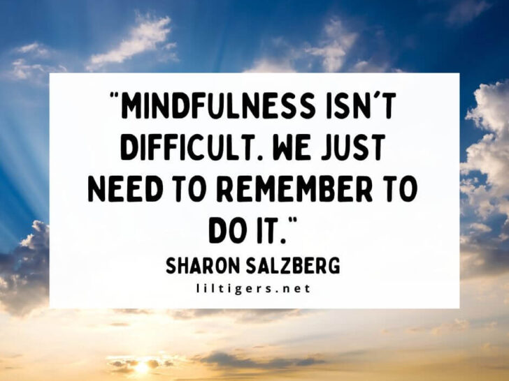 Quotes About Mindfulness