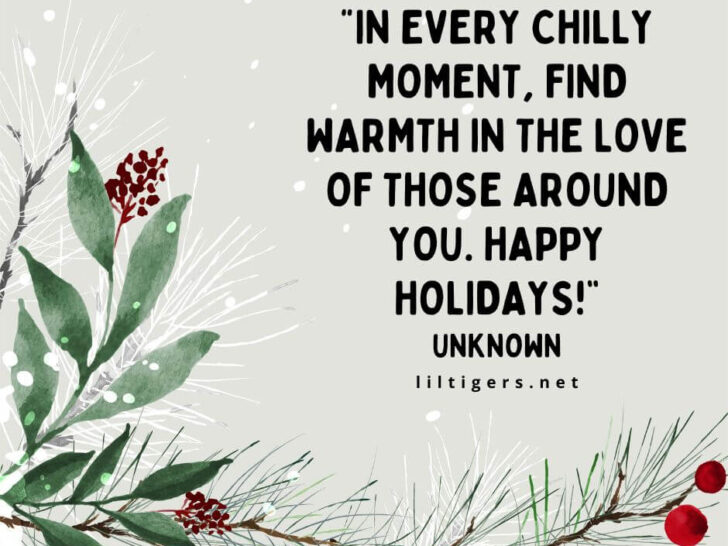 Festive Holidays Quotes for Kids 