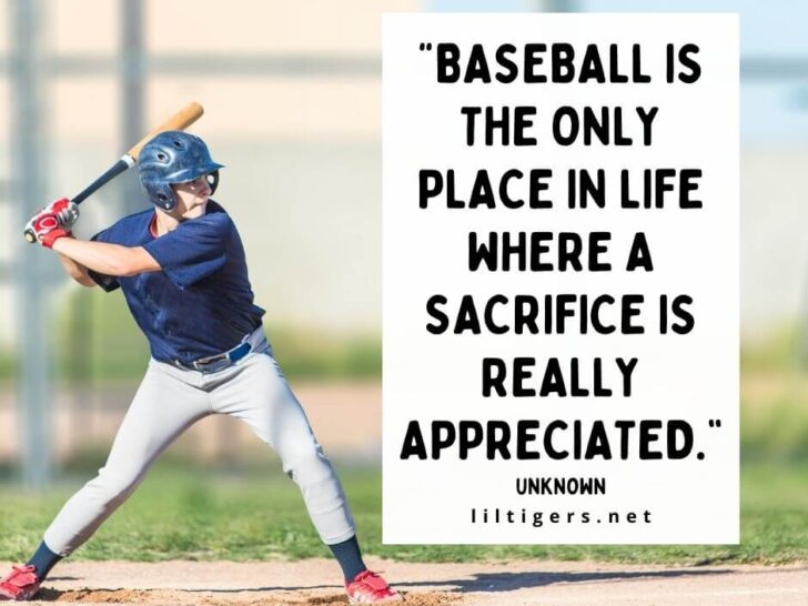 Quotes About Baseball