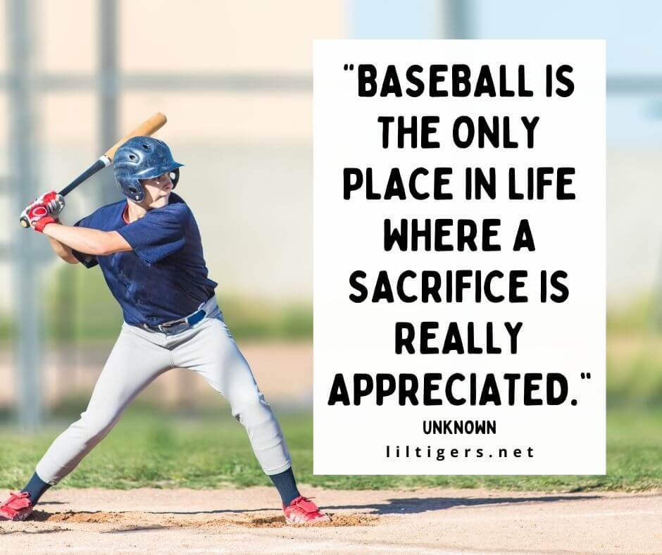 120 Best Baseball Quotes for Kids Lil Tigers