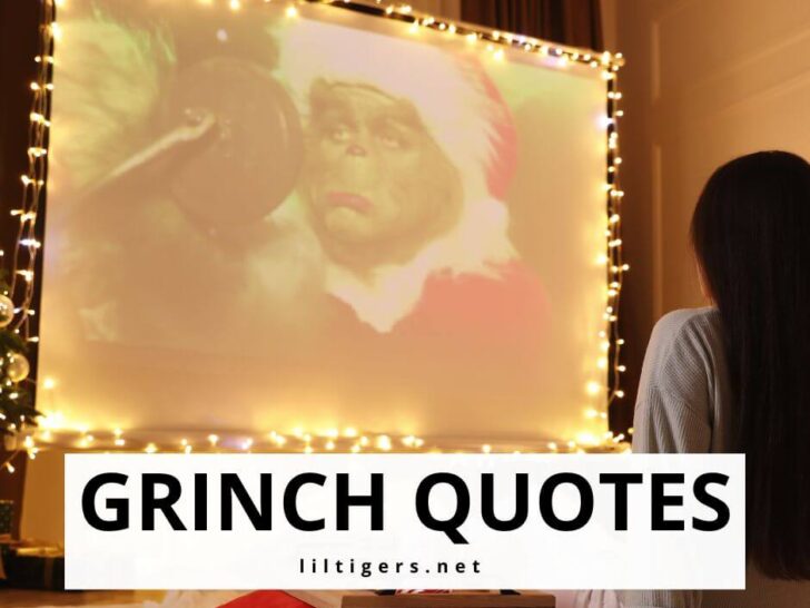 grinch quotes for kids