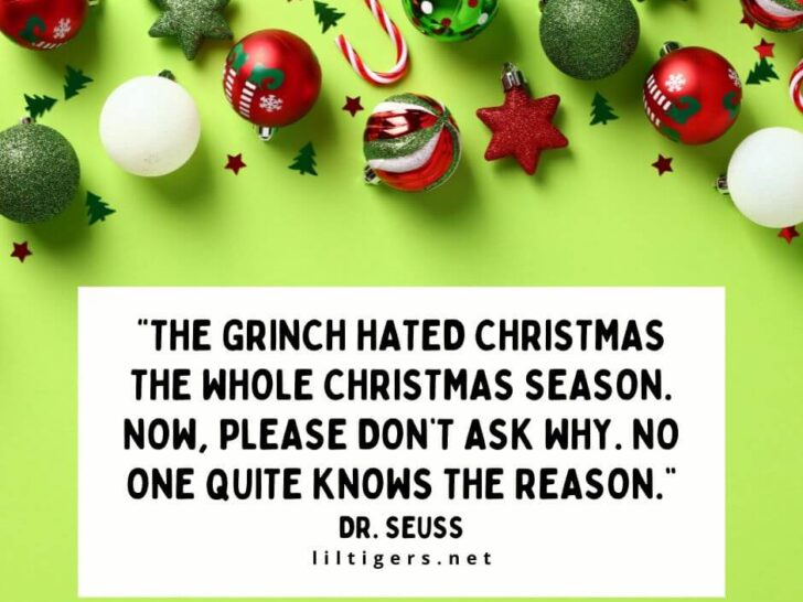 The Grinch Stole Christmas Quotes for kids