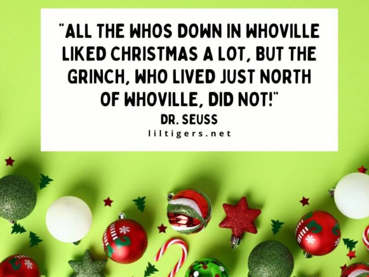 The Grinch Stole Christmas quotations for kids