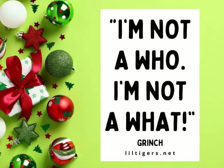 Quotes From the Grinch