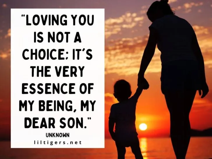 I Love You Son Quotes