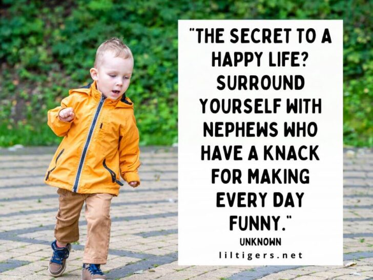 Funny Nephew Quotes