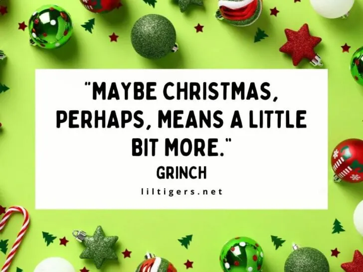 Best Grinch Quotes for Kids