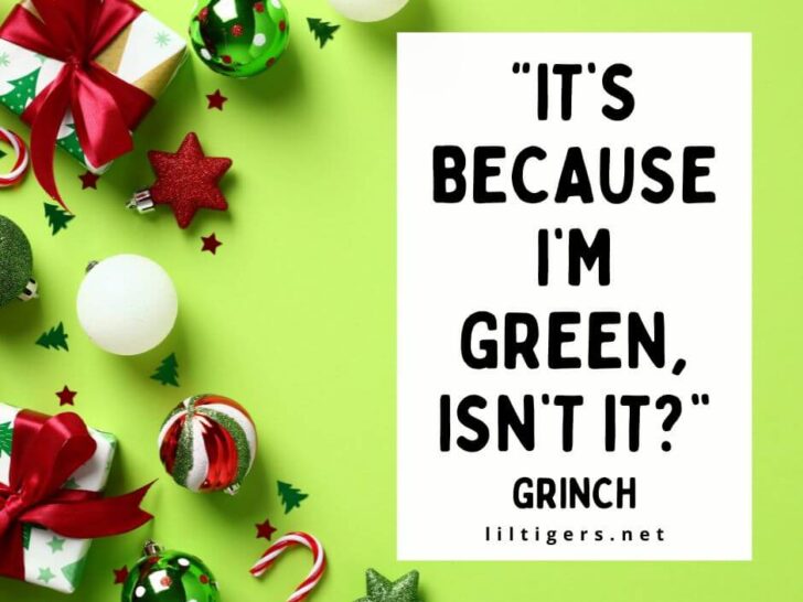 cute Grinch quotes for kids