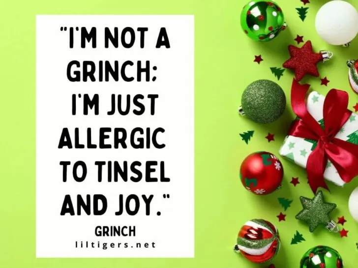 cute grinch sayings for kids