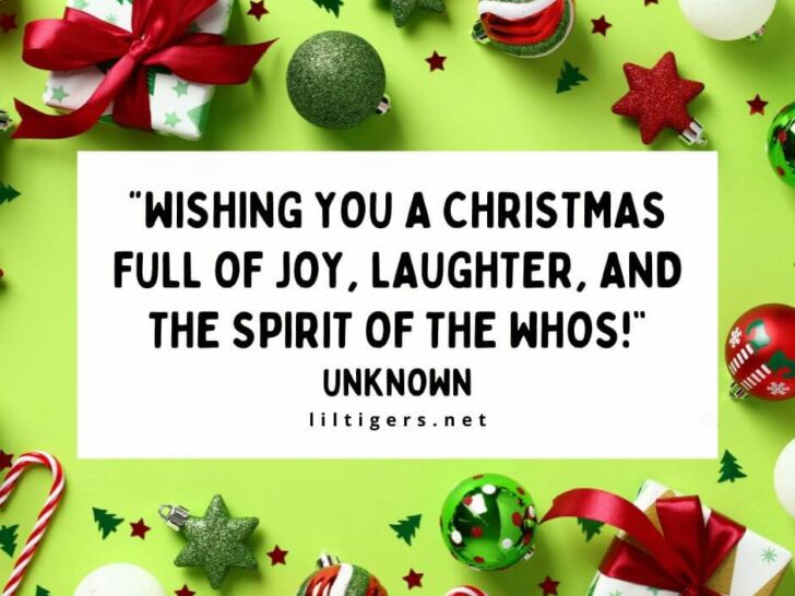 Grinch Christmas Quotes for kids